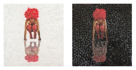 Mabel Poblet,´Deconstruida´, 2019, 50 x 50 cm cu, fotografía sobre pvc, flores cortadas en acetato díptico.